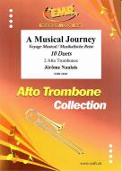 A Musical Journey Standard