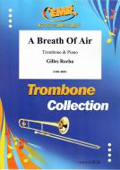 A Breath Of Air Standard
