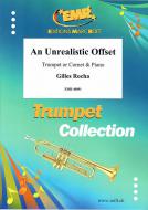 An Unrealistic Offset Standard
