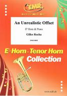 An Unrealistic Offset Standard