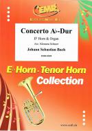 Concerto Ab-Dur Standard