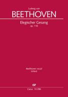 Elegiac Song op. 118 Standard