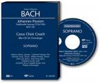 St. John Passion BWV 245 