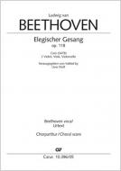Elegiac Song op. 118 