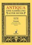 Triosonata C Major BWV 1037 Download