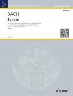 Sonata C Major 