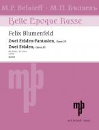 2 Etüden-Fantasien & 2 Etüden Download