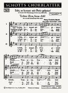 Seht, er kommt mit Preis gekrönt! / Tochter Zion, freue dich! Download