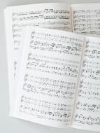 Canticum canticorum BoWV117 