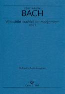 Wie schön leuchtet der Morgenstern 