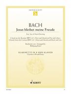 Jesu, Joy of Man's Desiring BWV 147 Download