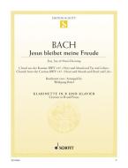 Jesu, Joy of Man's Desiring BWV 147 Download