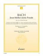 Jesu, Joy of Man's Desiring BWV 147 Download