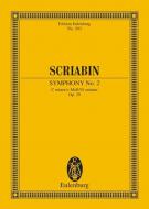 Sinfonie Nr. 2 c-Moll op. 29 Download