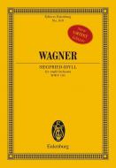 Siegfried-Idyll WWV 103 Download