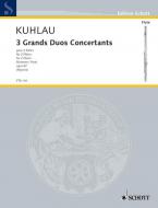 Three Grands Duos Concertants Op. 87 Download