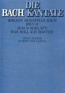 Jesus schläft, was soll ich hoffen Standard