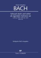 Look ye then and see now BWV 46 Download