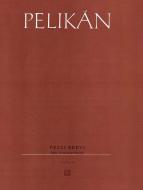 Pezzi Brevi 