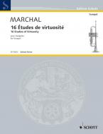 16 Studies of Virtuosity Download