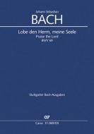 Lobe den Herrn, meine Seele (II) 