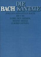 Lobe den Herrn, meine Seele (II) 