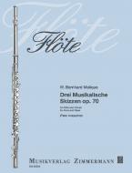 Drei musikalische Skizzen op. 70 Download