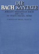 Du Hirte Israel, höre 