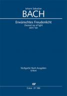 Erwünschtes Freudenlicht Standard
