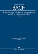 Barmherziges Herze der ewigen Liebe Standard