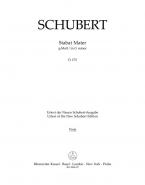 Stabat Mater in G minor D 175 