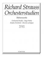 Orchestral Studies from his Stage Works: Flute Vol. 1 Download