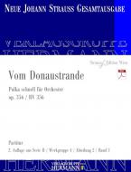 Vom Donaustrande op. 356 