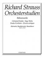 Orchestra Studies Vol. 3 Download
