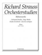 Orchestra Studies Vol. 2 Download