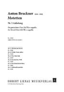 Motetten Nr. 5 Standard