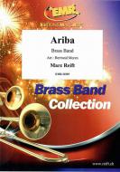 Ariba Standard