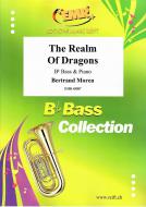 The Realm Of Dragons Standard