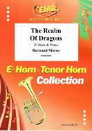 The Realm Of Dragons Standard