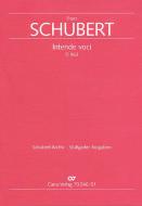 Intende voci D963 
