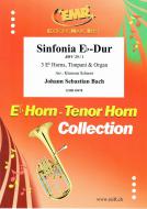 Sinfonia Eb-Dur BWV 29 / 1 Standard