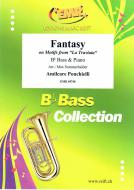 Fantasy Standard