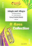 Adagio and Allegro Download