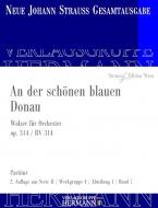 An der schönen blauen Donau op. 314 RV 314 Download