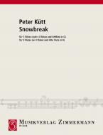 Snowbreak Download