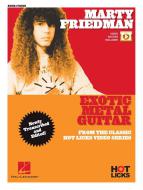 Exotic Metal Guitar 