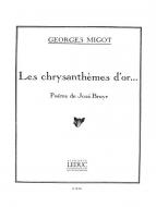 Chrysanthemes D Or 