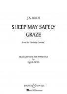 Sheep may safely graze 