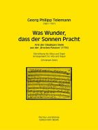 Was Wunder, das der Sonnen Pracht 