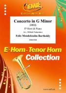 Concerto in G Minor Download